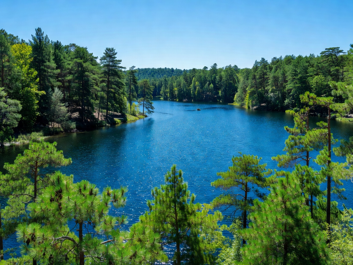 Bright sunny day over a blue lake with green pine trees